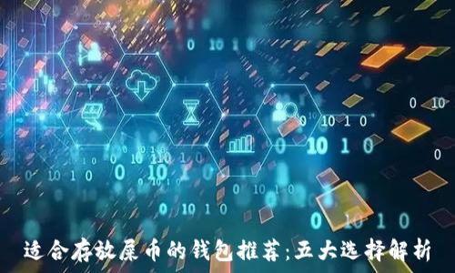 适合存放屎币的钱包推荐:五大选择解析